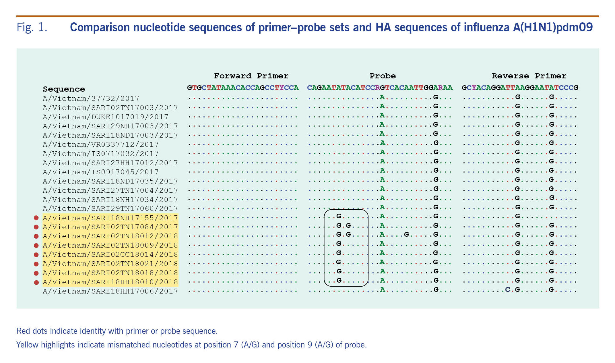 Fig. 1. Comparison nucleotide sequences of primer–probe sets and HA ...